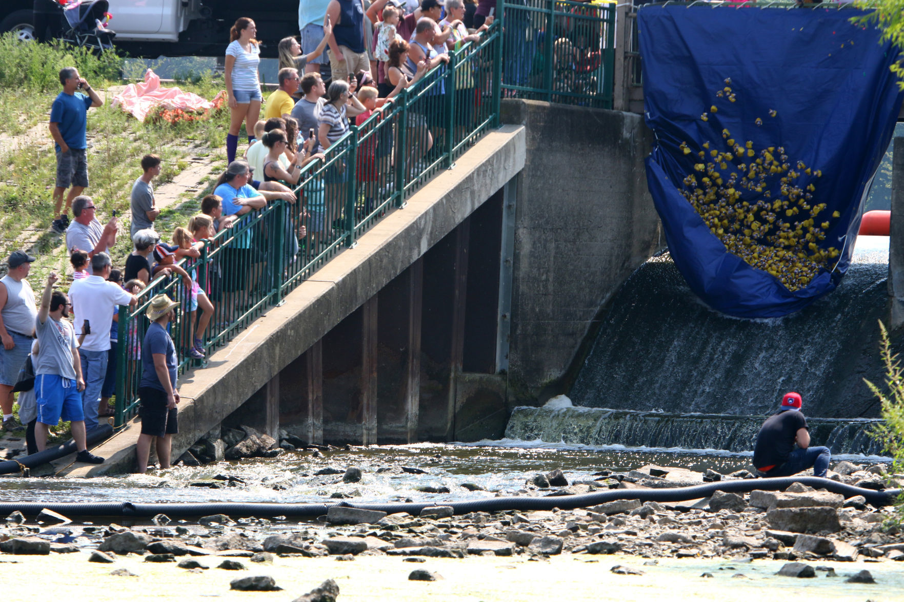 Dam Duck Race